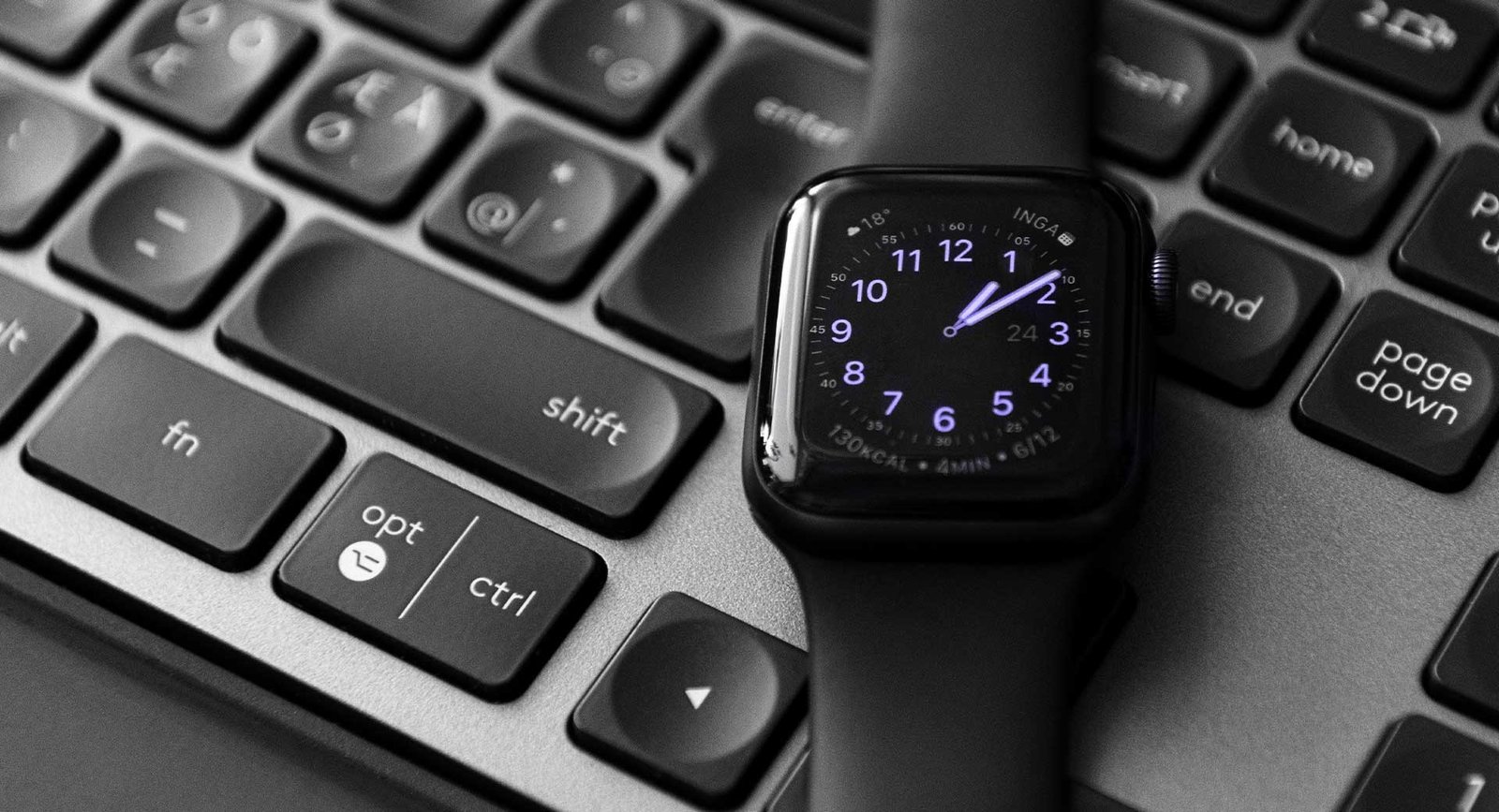 daniel3 haaf fzvu2ji0vey unsplash